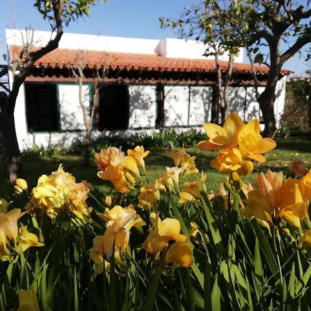 Casa Rural Limon Y Sol El El Sauzal Dış mekan fotoğraf