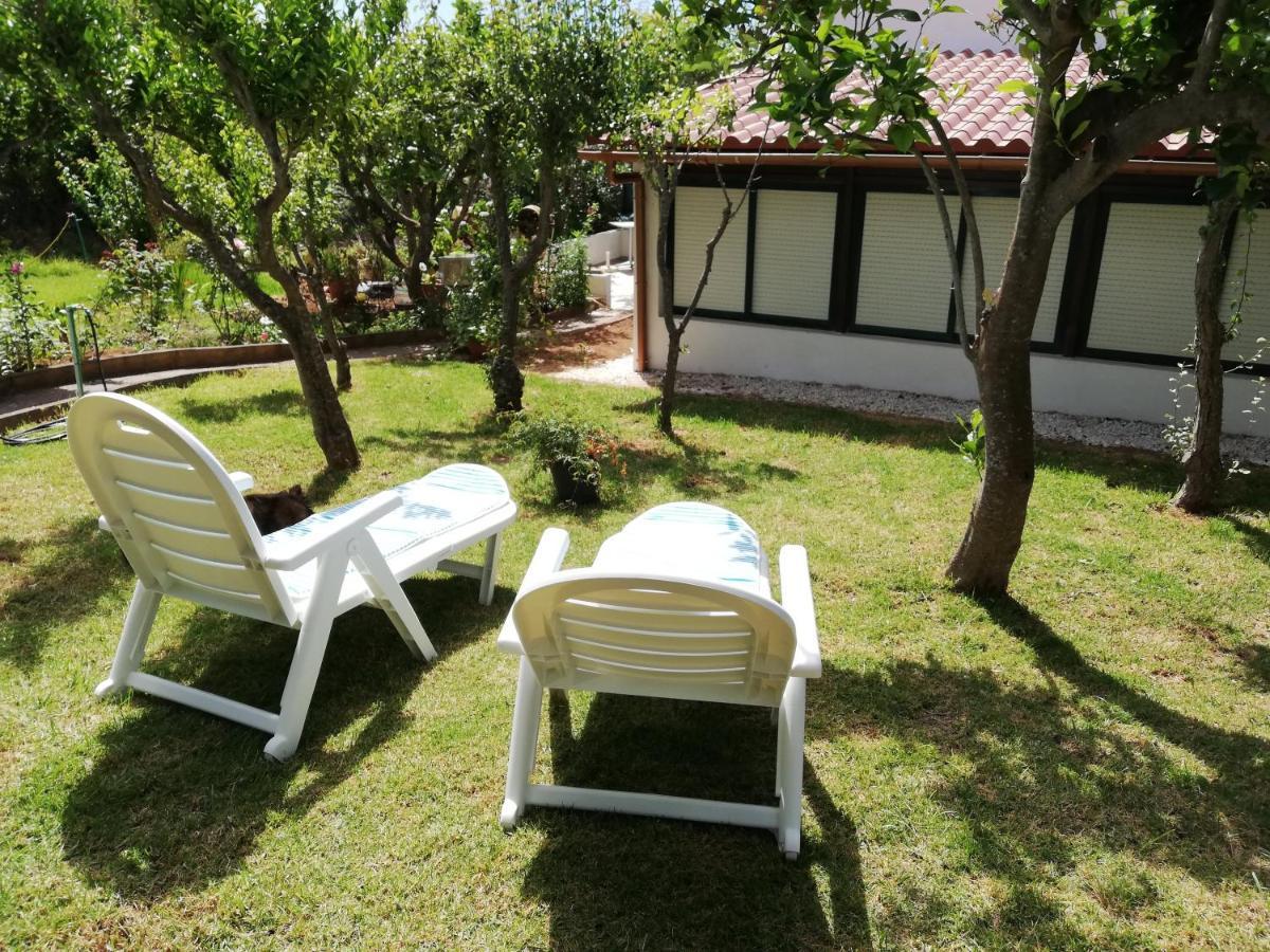 Casa Rural Limon Y Sol El El Sauzal Dış mekan fotoğraf